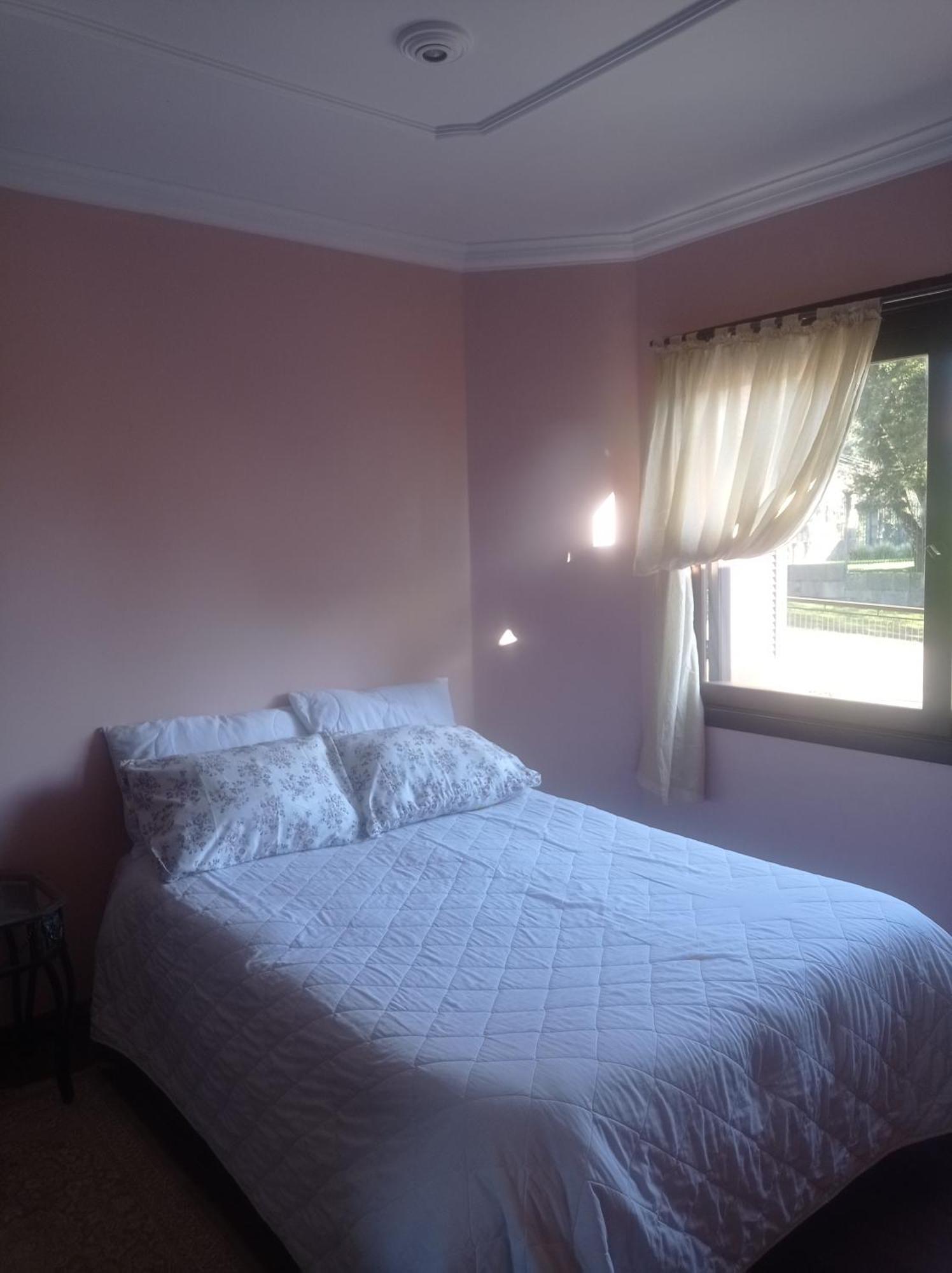 فندق Residencial Pine House كانيلا المظهر الخارجي الصورة