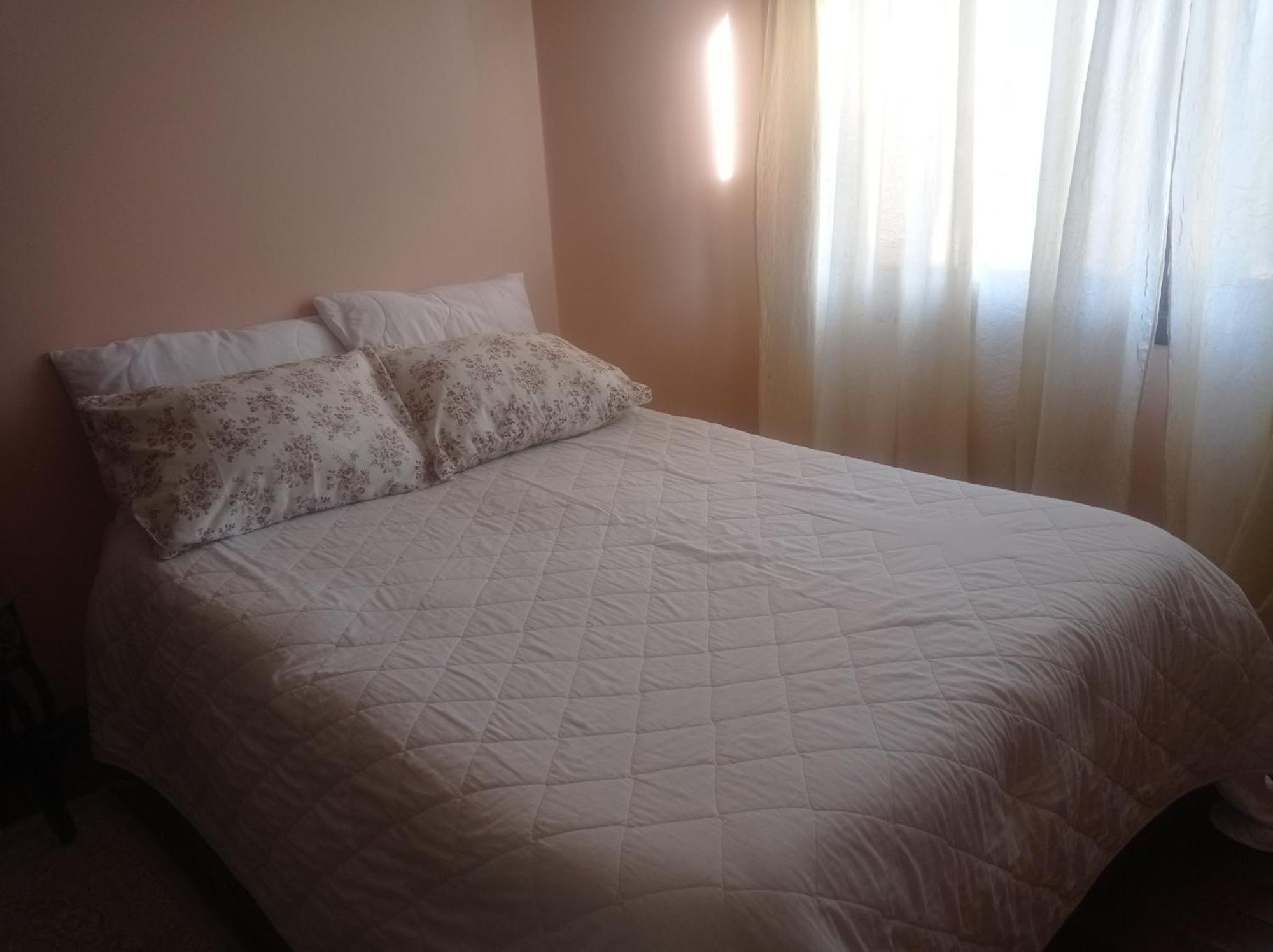 فندق Residencial Pine House كانيلا المظهر الخارجي الصورة