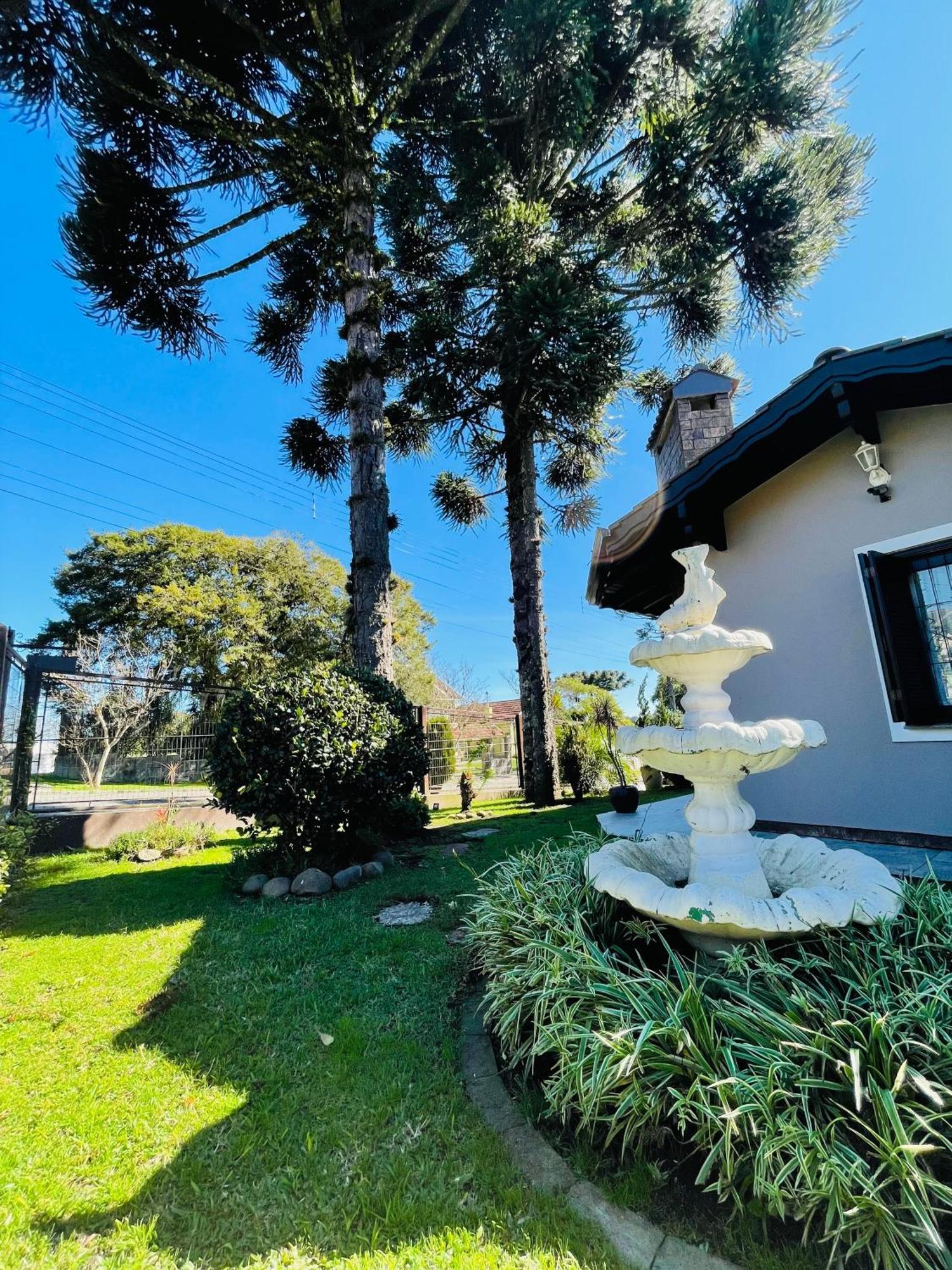 فندق Residencial Pine House كانيلا المظهر الخارجي الصورة