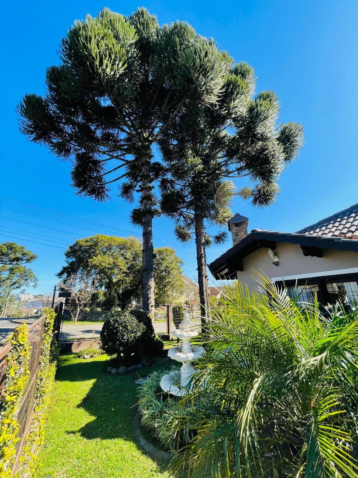 فندق Residencial Pine House كانيلا المظهر الخارجي الصورة